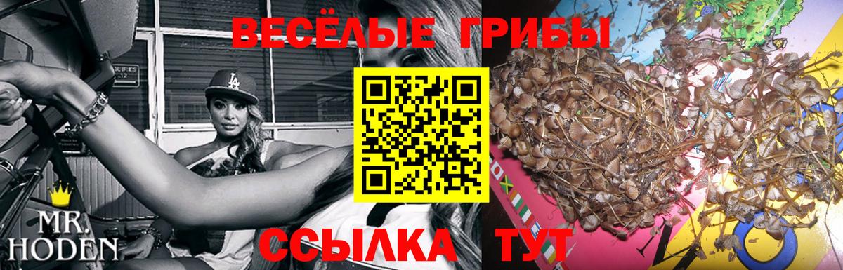 Галлюциногенные грибы Psilocybine cubensis  Вход с VPN  Тобольск 